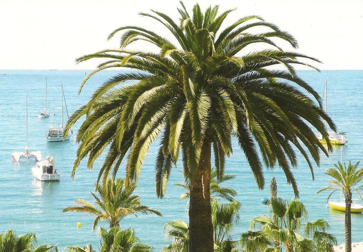 Ferienwohnung Studio Climatise. Proche Parking, Commerces Et Mer Carqueiranne Exterior foto